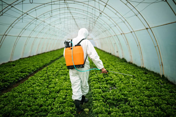 Best Affordable Pest Control Services  in Walsenburg, CO