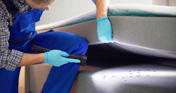 Best Best Pest Control Companies  in Walsenburg, CO